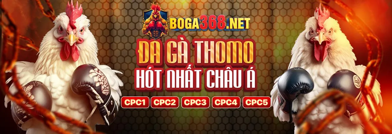 Hướng dẫn tải ứng dụng k88cc cho Android